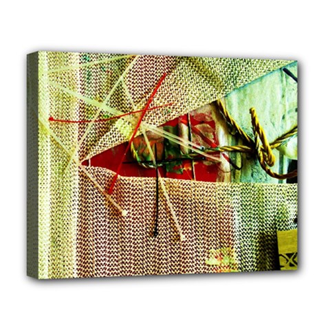 Hidden Strings Of Purity 12 Deluxe Canvas 20  X 16   by bestdesignintheworld