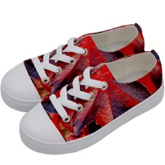 Wine Partner Wild Vine Leaves Plant Kids  Low Top Canvas Sneakers by Sapixe