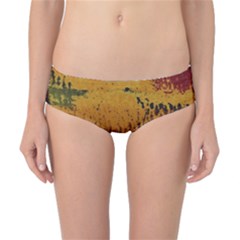 Fabric Textile Texture Abstract Classic Bikini Bottoms by Sapixe