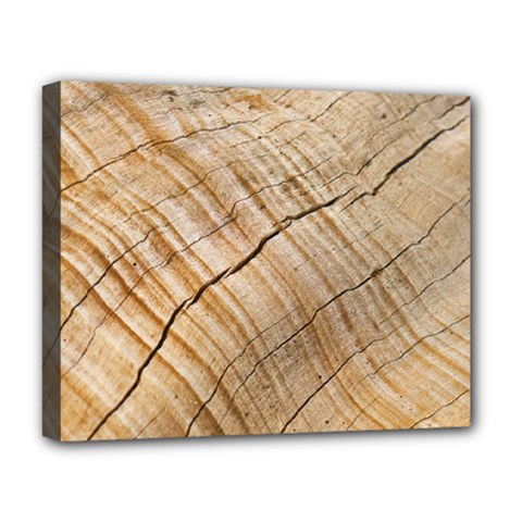 Abstract Brown Tree Timber Pattern Deluxe Canvas 20  X 16   by Sapixe