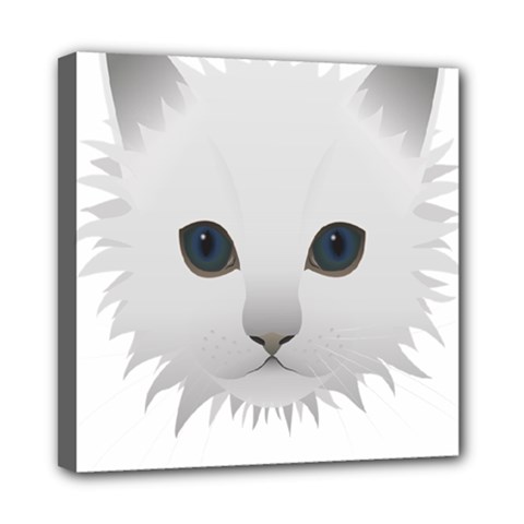 Cat Animal Pet Kitty Cats Kitten Mini Canvas 8  X 8  by Sapixe