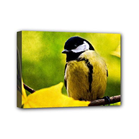 Tomtit Bird Dressed To The Season Mini Canvas 7  X 5  by FunnyCow