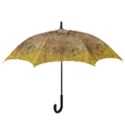 Wall 2889648 960 720 Hook Handle Umbrellas (Large) View3
