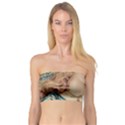 Lady Bandeau Top View1