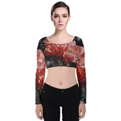 Rose 572757 1920 Velvet Long Sleeve Crop Top by vintage2030