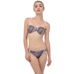 Mud Classic Bandeau Bikini Set by WILLBIRDWELL