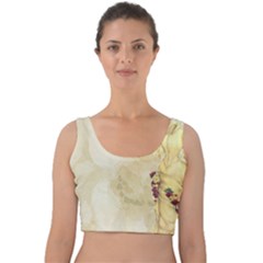 Background 1659622 1920 Velvet Crop Top by vintage2030