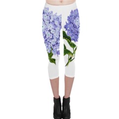 Flower 1775377 1280 Capri Leggings  by vintage2030