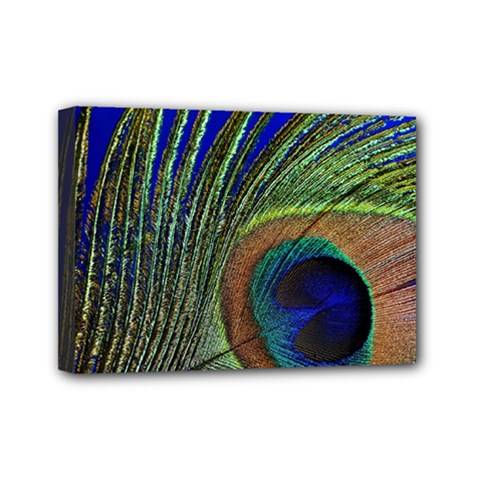 Peacock Feather Macro Peacock Bird Mini Canvas 7  X 5  (stretched) by Simbadda