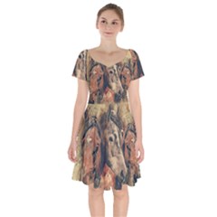 Head Horse Animal Vintage Short Sleeve Bardot Dress by Simbadda
