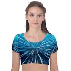 Background Structure Lines Velvet Short Sleeve Crop Top  by Celenk