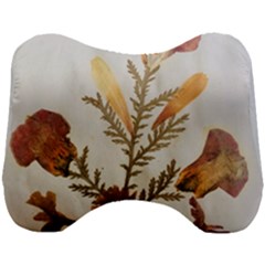 Holy Land Flowers 8 Head Support Cushion by DeneWestUK