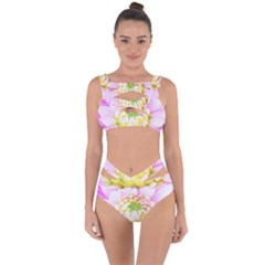 Pretty Pink, White And Yellow Cactus Dahlia Macro Bandaged Up Bikini Set  by myrubiogarden