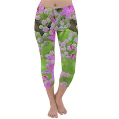 Hot Pink Succulent Sedum With Fleshy Green Leaves Capri Winter Leggings  by myrubiogarden