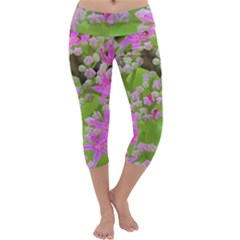 Hot Pink Succulent Sedum With Fleshy Green Leaves Capri Yoga Leggings by myrubiogarden