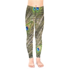 Peacock Feathers Color Plumag Kids  Legging by Wegoenart