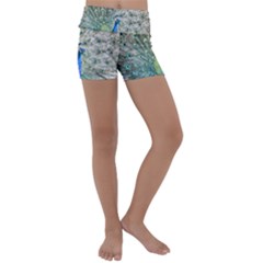 Peacock Bird Colorful Plumage Kids  Lightweight Velour Yoga Shorts by Wegoenart