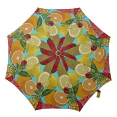 Fruit Picture Drawing Illustration Hook Handle Umbrellas (small) by Wegoenart