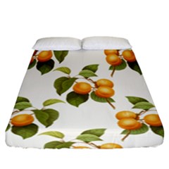 Apricot Fruit Vintage Art Fitted Sheet (california King Size) by Pakrebo