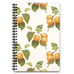 Apricot Fruit Vintage Art 5 5  X 8 5  Notebook by Pakrebo