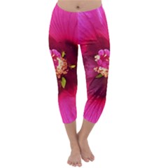 Deep Pink And Crimson Hibiscus Flower Macro Capri Winter Leggings  by myrubiogarden