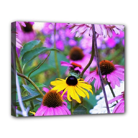Yellow Flowers In The Purple Coneflower Garden Deluxe Canvas 20  X 16  (stretched) by myrubiogarden
