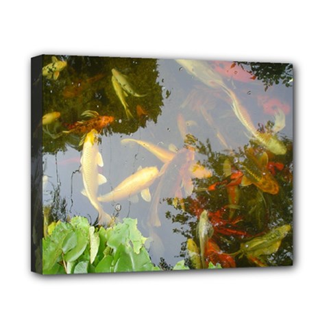 Koi Fish Pond Canvas 10  X 8  (stretched) by StarvingArtisan