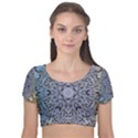 Tile Design Art Mosaic Pattern Velvet Short Sleeve Crop Top  View1