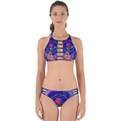 Enchanted Rose Stained Glass Perfectly Cut Out Bikini Set by Sudhe