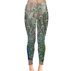 Peacock Bird Animal Feather Leggings  by Pakrebo