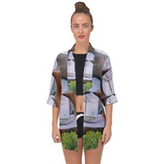 Henry Moore Open Front Chiffon Kimono by Riverwoman