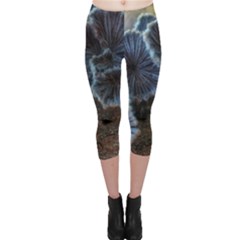 Tree Fungus Capri Leggings  by okhismakingart