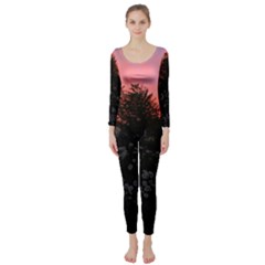 Daisies And Pink Long Sleeve Catsuit by okhismakingart