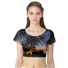 Sumac Sunset Short Sleeve Crop Top by okhismakingart