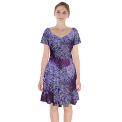 Blue Queen Anne s Lace Landscape Short Sleeve Bardot Dress by okhismakingart