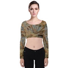Shell Fossil Velvet Long Sleeve Crop Top by okhismakingart