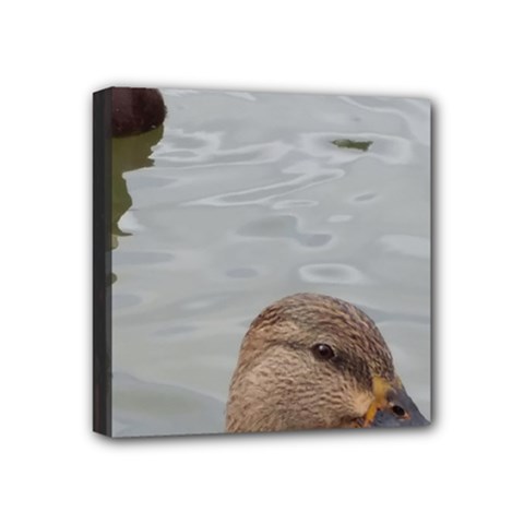 Framed Ducks Mini Canvas 4  X 4  (stretched) by okhismakingart
