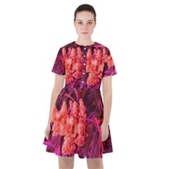 Pink Sideways Sumac Sailor Dress by okhismakingart