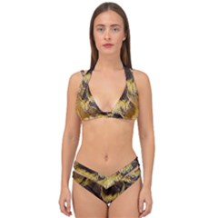 Wing Feather Bird Animal World Double Strap Halter Bikini Set by Pakrebo