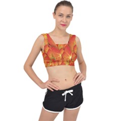 Pattern Texture Leaf V-back Sports Bra by HermanTelo