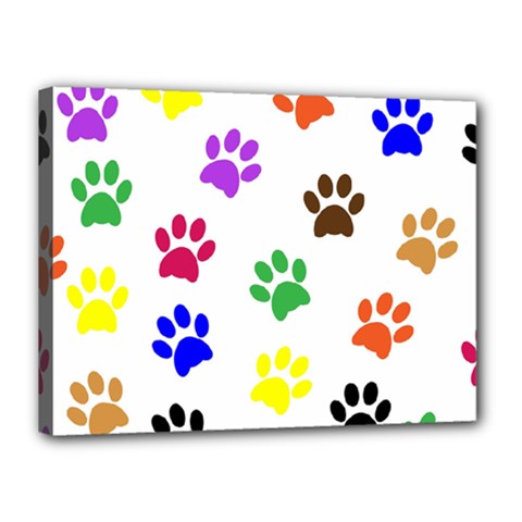Pawprints Paw Prints Paw Animal Canvas 16  X 12  (stretched) by Sapixe