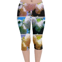Snowball Branch Collage (i) Velvet Capri Leggings  by okhismakingart