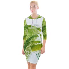 Lime Club Soda Drink Cocktail Quarter Sleeve Hood Bodycon Dress by Pakrebo