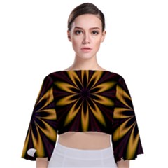 Fractal Artwork Idea Allegory Art Pattern Tie Back Butterfly Sleeve Chiffon Top by Sudhe
