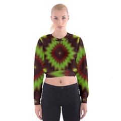 Fractal Artwork Idea Allegory Geometry Cropped Sweatshirt by Sudhe