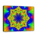 Digital Art Fractal Artwork Flower Deluxe Canvas 20  x 16  (Stretched) View1