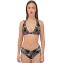 Art Artwork Fractal Digital Art Double Strap Halter Bikini Set View1