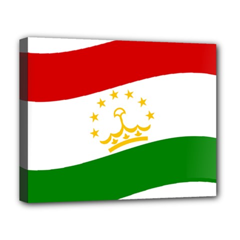 Flag Iran Tajikistan Afghanistan Deluxe Canvas 20  X 16  (stretched) by Sapixe