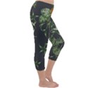 Pineapples pattern Capri Winter Leggings  View3