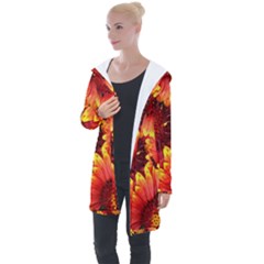 Background 1655938 960 720 Longline Hooded Cardigan by vintage2030
